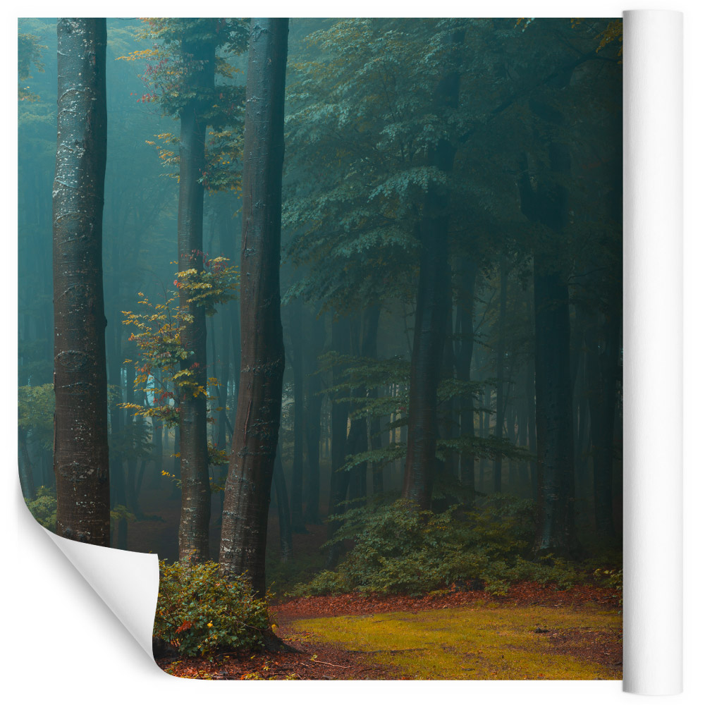 Autocollant Mural 3D "Nebel Wald" (Forêt Brumeuse) - Décor Abstrait, Autocollant Amovible, Neuf