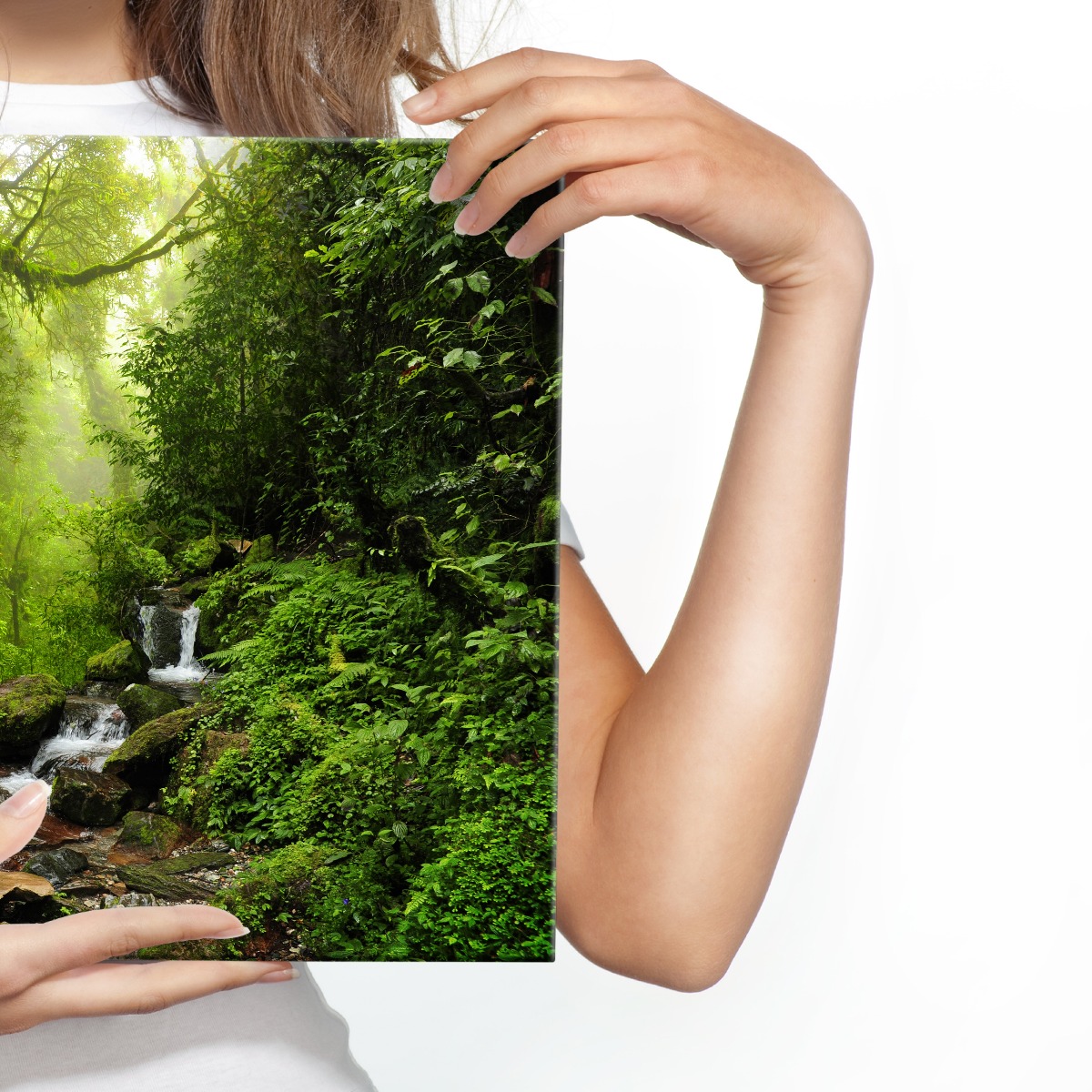 Fabelhafte Canvas LEINWAND BILDER XXL Kunstdruck Natur Dschungel