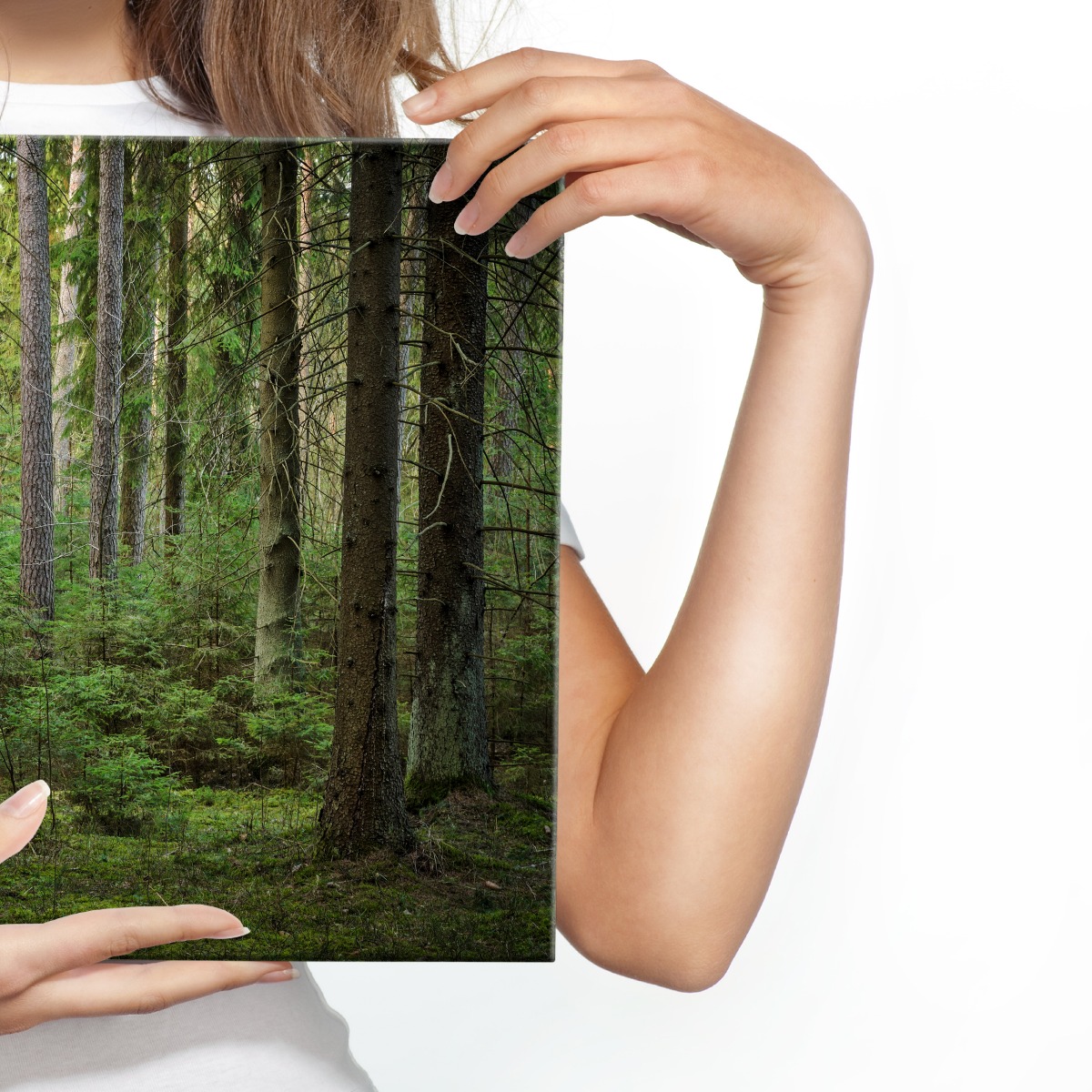 Fabelhafte Canvas LEINWAND BILDER XXL Kunstdruck Natur Wald Bäume 3D